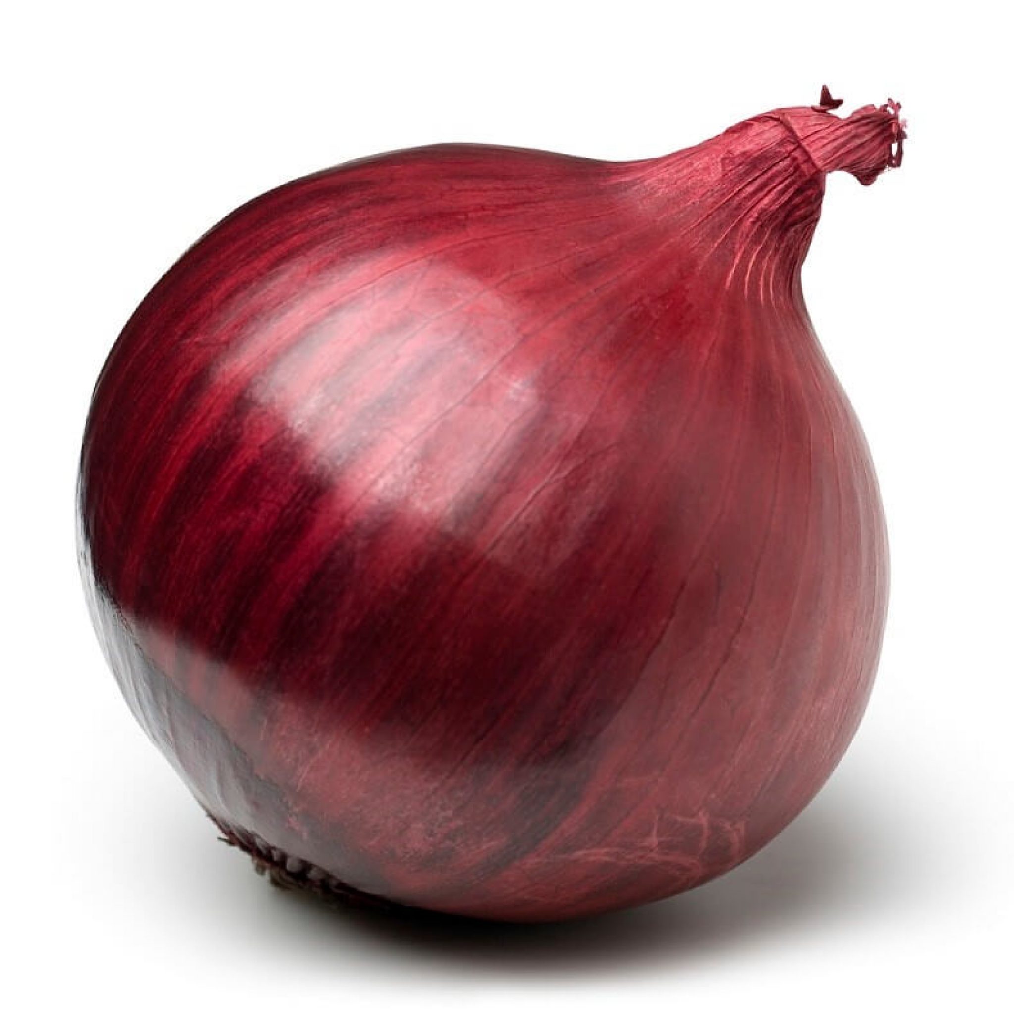 Onion Boott