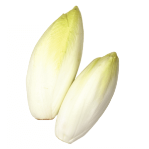 French Endive Or Witloof Chicory Seeds 1495 | OSC Seeds