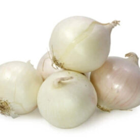 Onion Seeds in Canada | Order Online | OSC Seeds